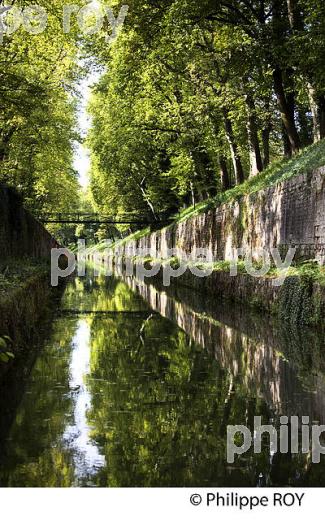 LA VOUTE DE POUILLY, TOURISME FLUVIAL SUR LE CANAL DE BOURGOGNE, COTE D' OR. (21F00121.jpg)