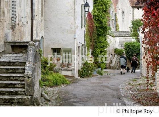 FLAVIGNY SUR OZERAIN, AUXOIS,  COTE D' OR, BOURGOGNE, FRANCE. (21F00809.jpg)