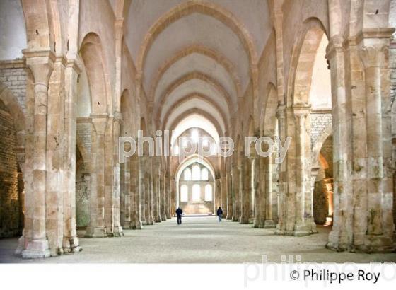 ABBAYE D EFONTENAY,   VALLEE DE L' ARMANCON, CANAL DE BOURGOGNE, COTE D' OR, FRANCE. (21F00836.jpg)