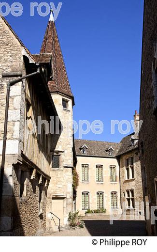 HOTEL DES DUCS DE BOURGOGNE, MUSEE DU VIN,  BEAUNE, COTE D' OR , BOURGOGNE. (21F01319.jpg)