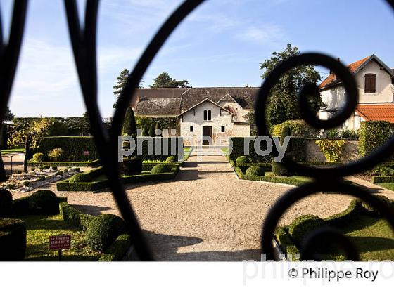 CHATEAU DE POMMARD, COTE DE BEAUNE, VINS DE BOURGOGNE, COTE D' OR. (21F01431.jpg)