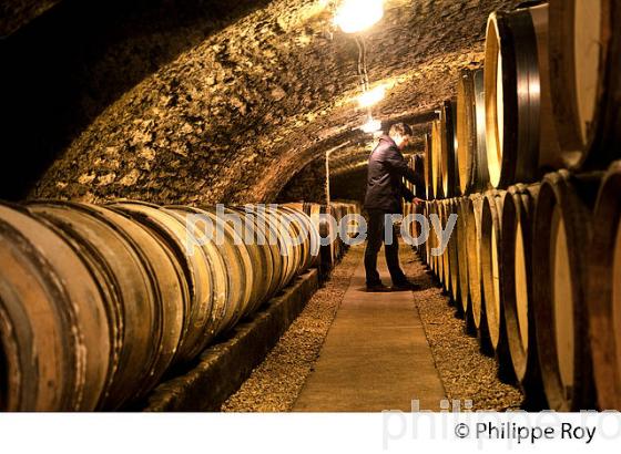 CAVE CHAMPY A BEAUNE,  VINS DE BOURGOGNE, COTE D' OR. (21F01707.jpg)