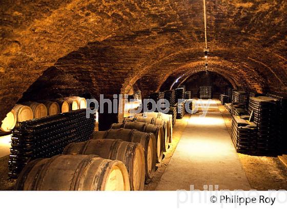 CAVE PATRIARCHE, A BEAUNE,  VINS DE BOURGOGNE, COTE D' OR. (21F01726.jpg)