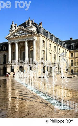 PLACE DE LA LIBERATION ET PALAIS DES DUCS DE BOURGOGNE, VIEILLE VILLE DE DIJON, COTE D' OR, BOURGOGNE. (21F03517.jpg)