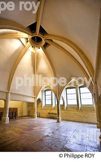LE  PALAIS DES DUCS DE BOURGOGNE,  VIEILLE VILLE DE DIJON , BOURGOGNE. (21F03536.jpg)