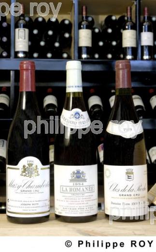 Le vignoble de Bourgogne (21V00208.jpg)