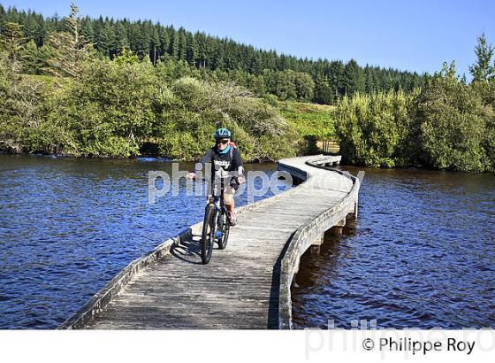 RANDONNEE VELO, LAC DE VASSIVIERE, CREUSE,LIMOUSIN. (23F03019.jpg)