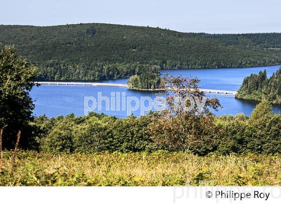 PAYSAGE,  LAC DE VASSIVIERE, CREUSE, LIMOUSIN. (23F03026.jpg)
