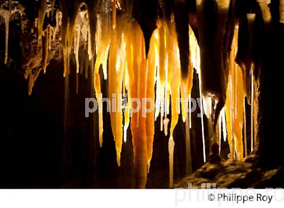 GROTTE DE TOURTOIRAC, VALLEE DE L' AUVEZERE, PERIGORD NOIR, DORDOGNE. (24F01503.jpg)