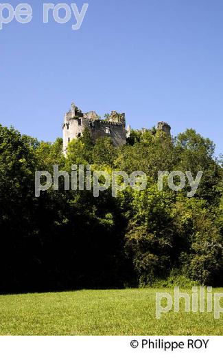 CHATEAU DE BRUZAC,SAINT PIERRE DE COLE, PERIGORD VERT, DORDOGNE. (24F02040.jpg)