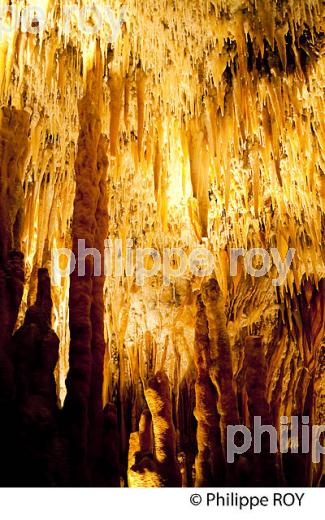 GROTTE DE VILLARS,  PERIGORD VERT, DORDOGNE, FRANCE (24F02116.jpg)