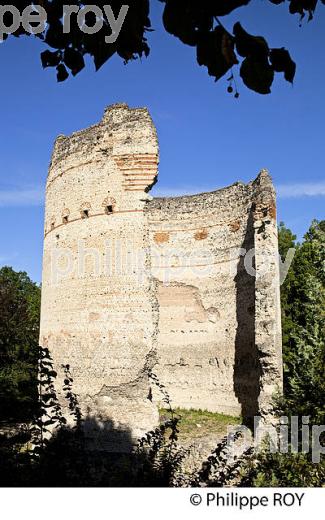 TOUR DE VESONE, PERIGUEUX , PERIGORD BLANC, DORDOGNE, FRANCE (24F02505.jpg)
