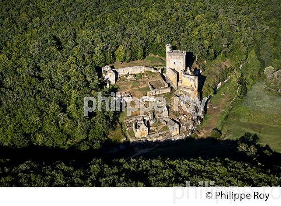 CHATEAU DE COMMARQUE, VALLEE DE LA VEZERE, PERIGORD NOIR, DORDOGNE, FRANCE (24F02807.jpg)