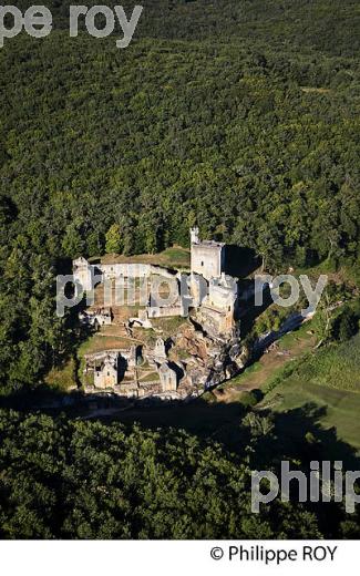 CHATEAU DE COMMARQUE, VALLEE DE LA VEZERE, PERIGORD NOIR, DORDOGNE, FRANCE (24F02811.jpg)