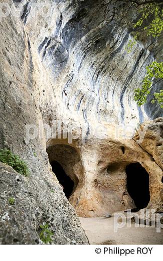 GROTTE DE FONT GAUME, LES EYZIES, PREHISTOIRE, VALLEE VEZERE, PERIGORD NOIR, DORDOGNE (24F03704.jpg)