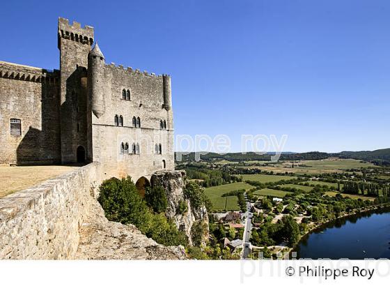 CHATEAU DE BEYNAC, PERIGORD NOIR, DORDOGNE, FRANCE (24F04504.jpg)