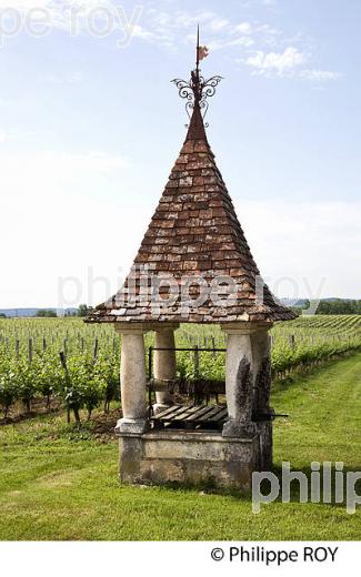 BIODYNAMIE, CHATEAU LA JAUBERTIE, VIGNOBLE DE BERGERAC, PERIGORD, DORDOGNE, FRANCE (24F05230.jpg)