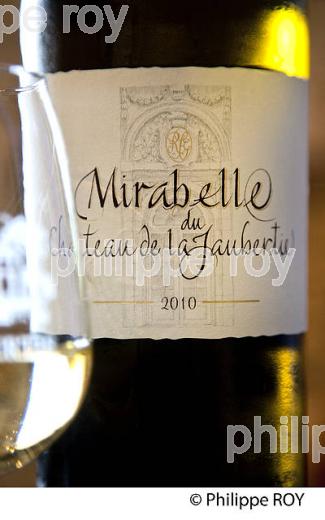 CHATEAU LA JAUBERTIE, VINS DE BERGERAC, PERIGORD, DORDOGNE, FRANCE (24F05308.jpg)