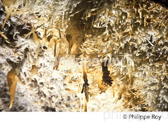 LES GROTTES DE MAXANGE, BUISSON DE CADOUIN , VALLEE DE LA DORDOGNE. (24F10724.jpg)