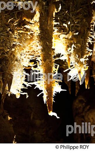 LES GROTTES DE MAXANGE, BUISSON DE CADOUIN , VALLEE DE LA DORDOGNE. (24F10729.jpg)