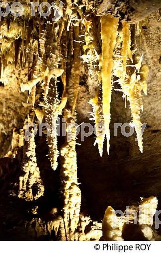 LES GROTTES DE MAXANGE, BUISSON DE CADOUIN , VALLEE DE LA DORDOGNE. (24F10731.jpg)