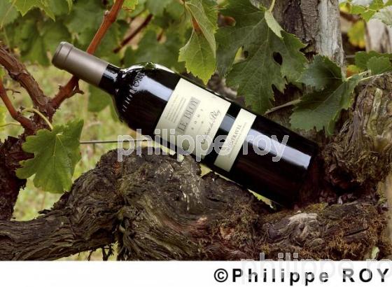 Les vins de la Dordogne (24V00134.jpg)