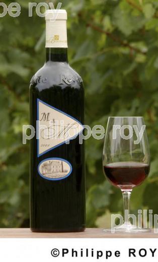 Les vins de la Dordogne (24V00135.jpg)