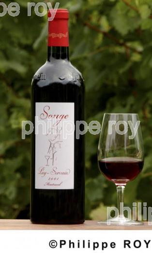 Les vins de la Dordogne (24V00136.jpg)