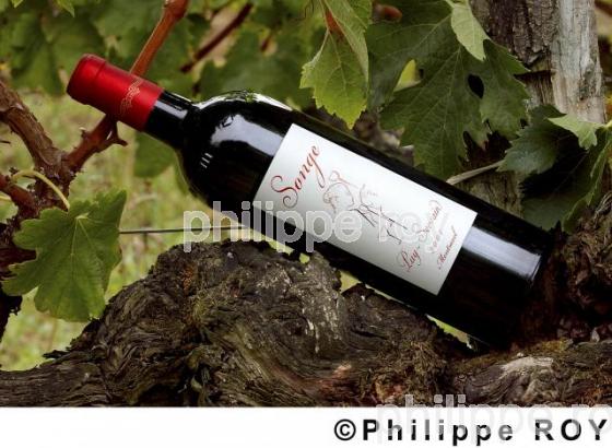 Les vins de la Dordogne (24V00137.jpg)