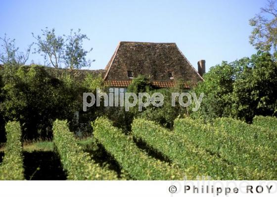 Le vignoble de Dordogne (24V00333.jpg)