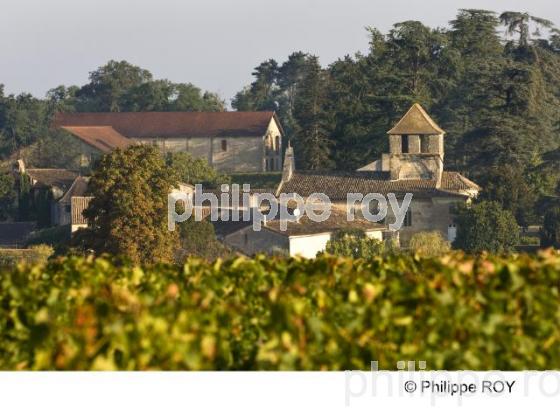 Le vignoble de Bergerac (24V00430.jpg)