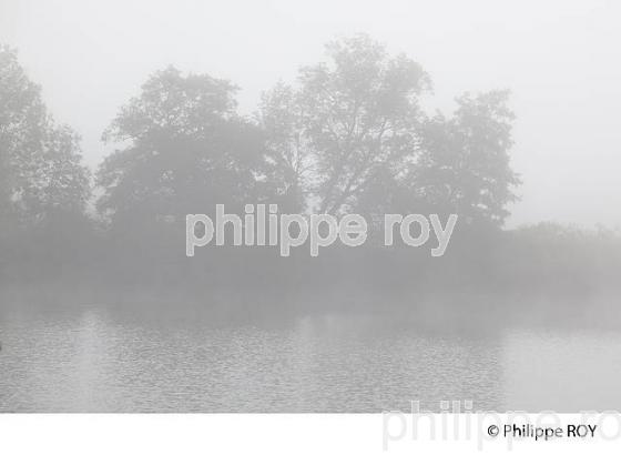 BRUME SUR LA RIVIERE L'OGNON, DOUBS, FRANCE (25F01034.jpg)