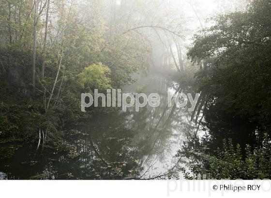 BRUME SUR LA RIVIERE L'OGNON, DOUBS, FRANCE (25F01039.jpg)