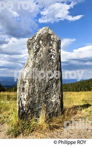 LE MENHIR TREPALOUP, MONT AIGOUAL,  PAYSAGE   DES CEVENNES ,  GARD, LANGUEDOC. (30F00237.jpg)
