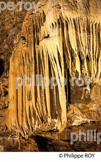 LA GROTTE DE TRABUC, COMMUNE DE MIALET , VALLEE DU GARDON DE MIALET,  CEVENNES, GARD. (30F00536.jpg)