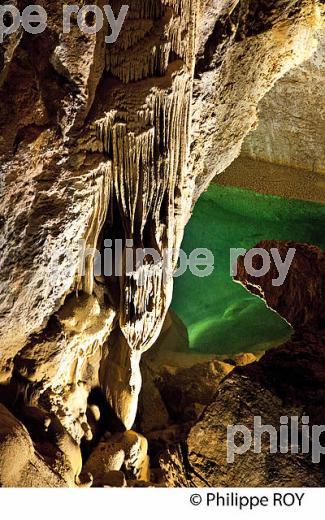 LA GROTTE DE TRABUC, COMMUNE DE MIALET , VALLEE DU GARDON DE MIALET,  CEVENNES, GARD. (30F00601.jpg)