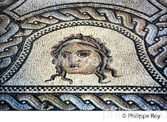MOSAIQUE ROMAINE, MUSEE DE LA ROMANITE,   NIMES, GARD, LANGUEDOC. (30F01711.jpg)
