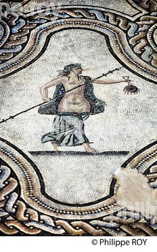 MOSAIQUE ROMAINE, MUSEE DE LA ROMANITE,   NIMES, GARD, LANGUEDOC. (30F01713.jpg)