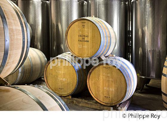 CHATEAU VALCOMBE, VIN DES  COSTIERE DE NIMES, GENERAC, GARD, LANGUEDOC. (30F01937.jpg)