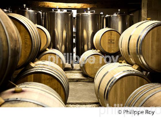 CHATEAU VALCOMBE, VIN DES  COSTIERE DE NIMES, GENERAC, GARD, LANGUEDOC. (30F01938.jpg)
