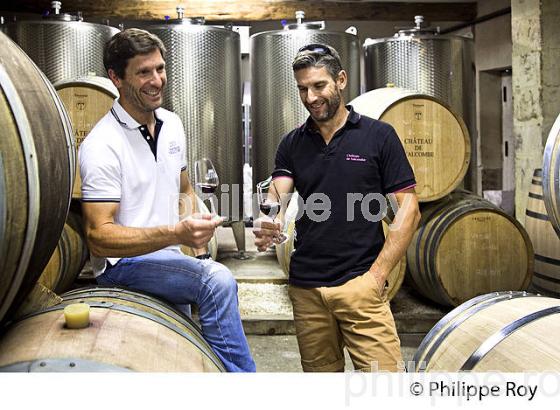 CHATEAU VALCOMBE, VIN DES  COSTIERE DE NIMES, GENERAC, GARD, LANGUEDOC. (30F01939.jpg)