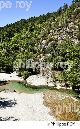 BAIGNADE ET GORGES DE LA CEZE, AUJAC,  VALLEE DE LA CEZE, CEVENNES, GARD. (30F02017.jpg)