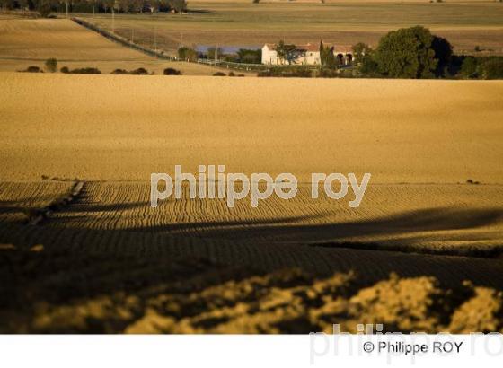 Saint Flix Lauragais - Haute Garonne (31F01104.jpg)