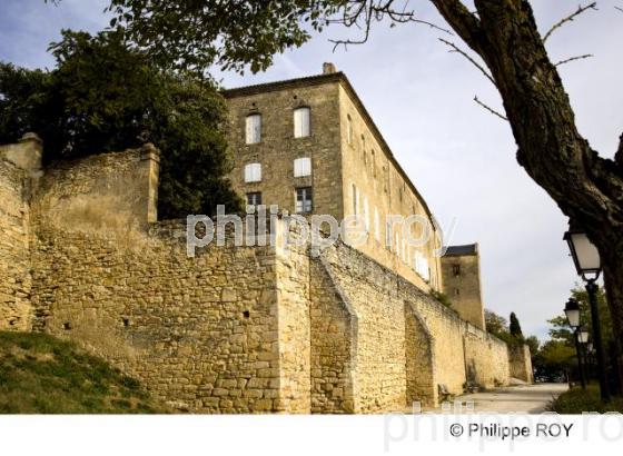 Saint Flix Lauragais - Haute Garonne (31F01121.jpg)
