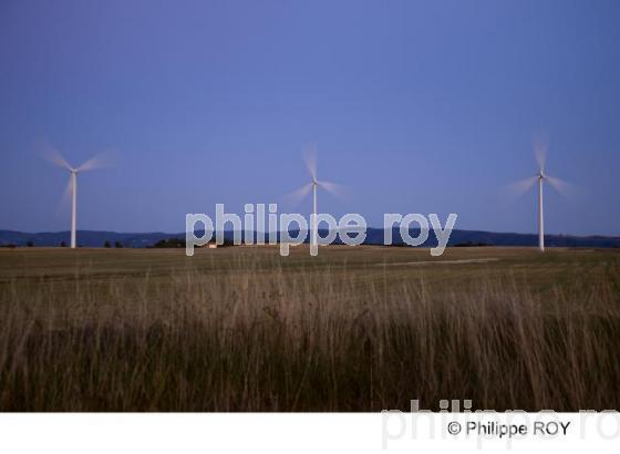 Saint Flix Lauragais - Haute Garonne (31F01135.jpg)