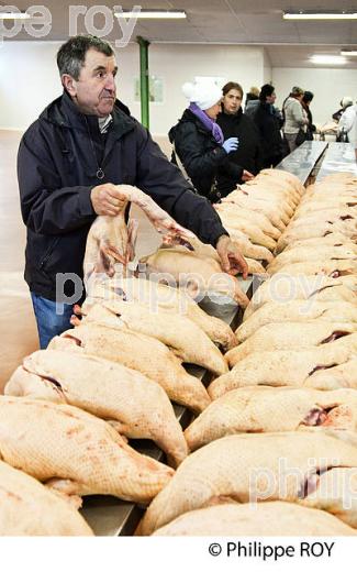 LE MARCHE AU GRAS  DE  SAMATAN,  VENTE DES CARCASSES, GERS, COMMINGES, GASCOGNE. (32F00806.jpg)