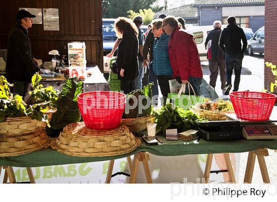 LE MARCHE AUX LEGUMES  DE  SAMATAN,  GERS, COMMINGES, GASCOGNE. (32F00939.jpg)