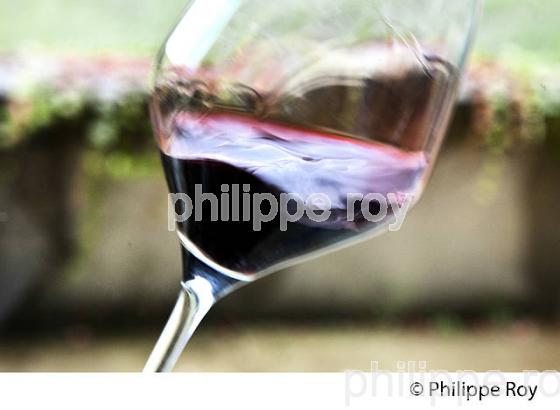VERRE DE VIN, CHATEAU MONTUS, AOC MADIRAN, VIGNOBLES BRUMONT, GERS. (32F01035.jpg)