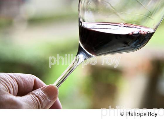 VERRE DE VIN, CHATEAU MONTUS, AOC MADIRAN, VIGNOBLES BRUMONT, GERS. (32F01037.jpg)