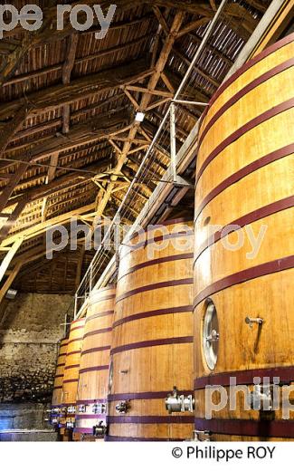 CUVIER, CHATEAU MONTUS, VIN AOC  MADIRAN, VIGNOBLES BRUMONT, GERS. (32F01111.jpg)